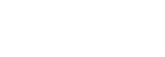 World Wide Tech Logo