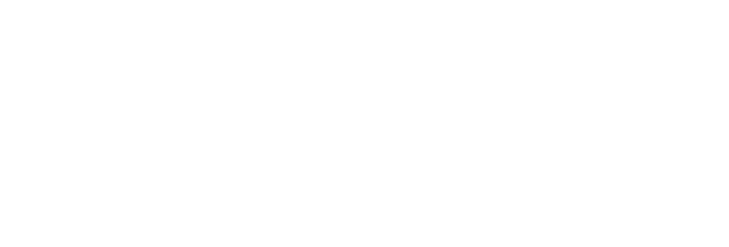 WellLife Network Logo